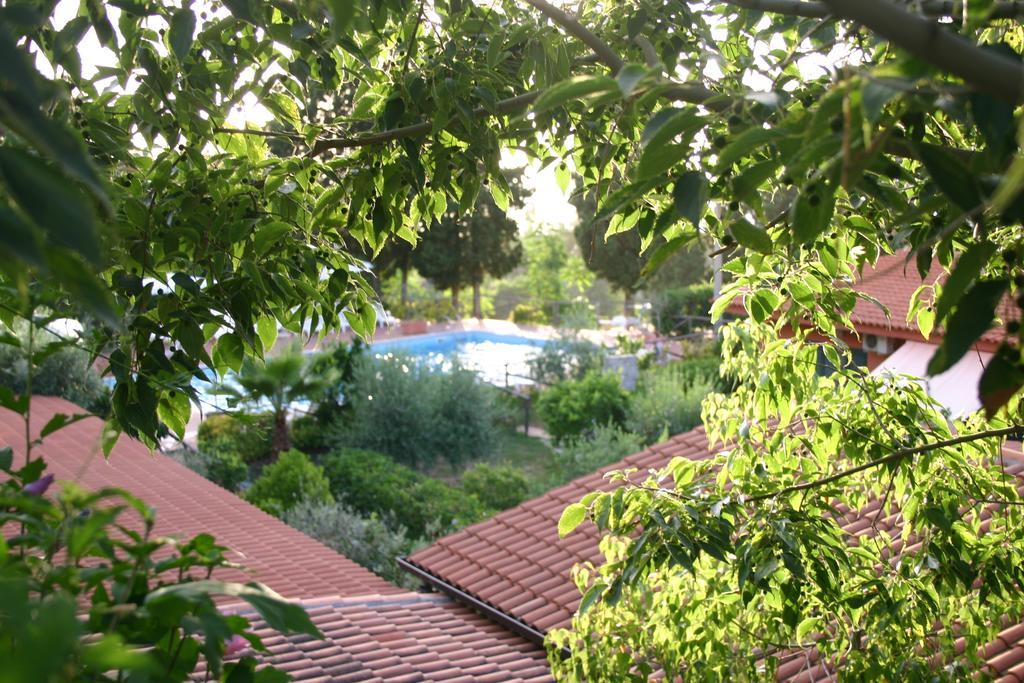 Agriturismo Ruralia Santa Domenica  Exterior foto